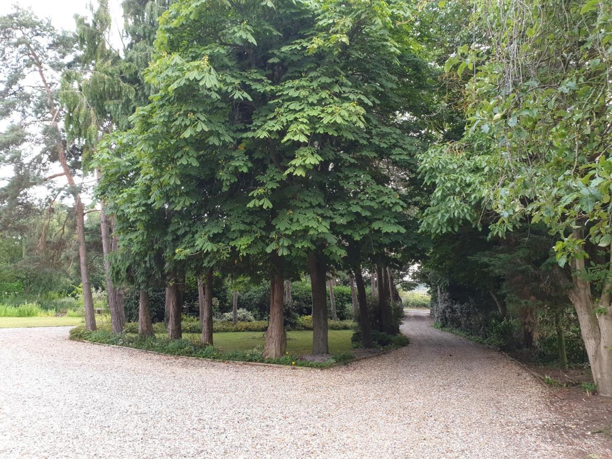 The Reading Whole Chalet With Lake And Two Acre Gardens Luaran gambar